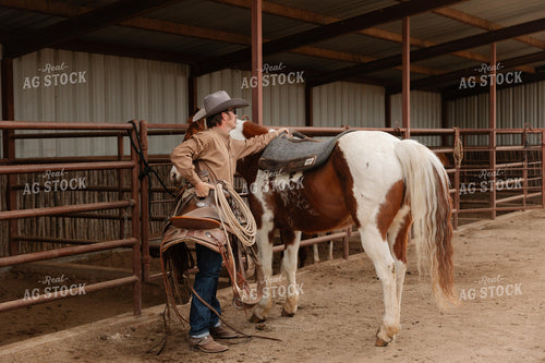 Saddling Horse 205123