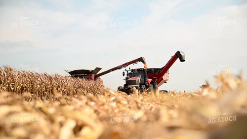 Combine Unloading Corn on the go into an Auger Wagon - 458