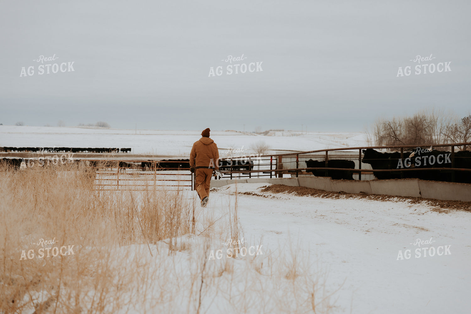 Rancher Walking in Snow 61227