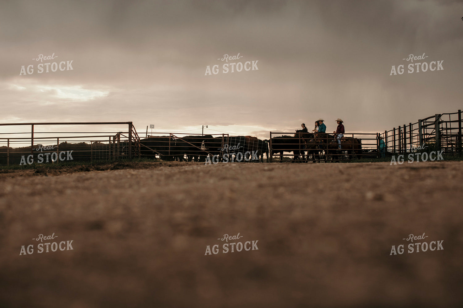 Feedyard 3092