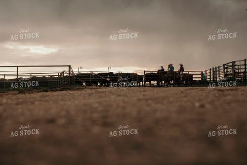 Feedyard 3092