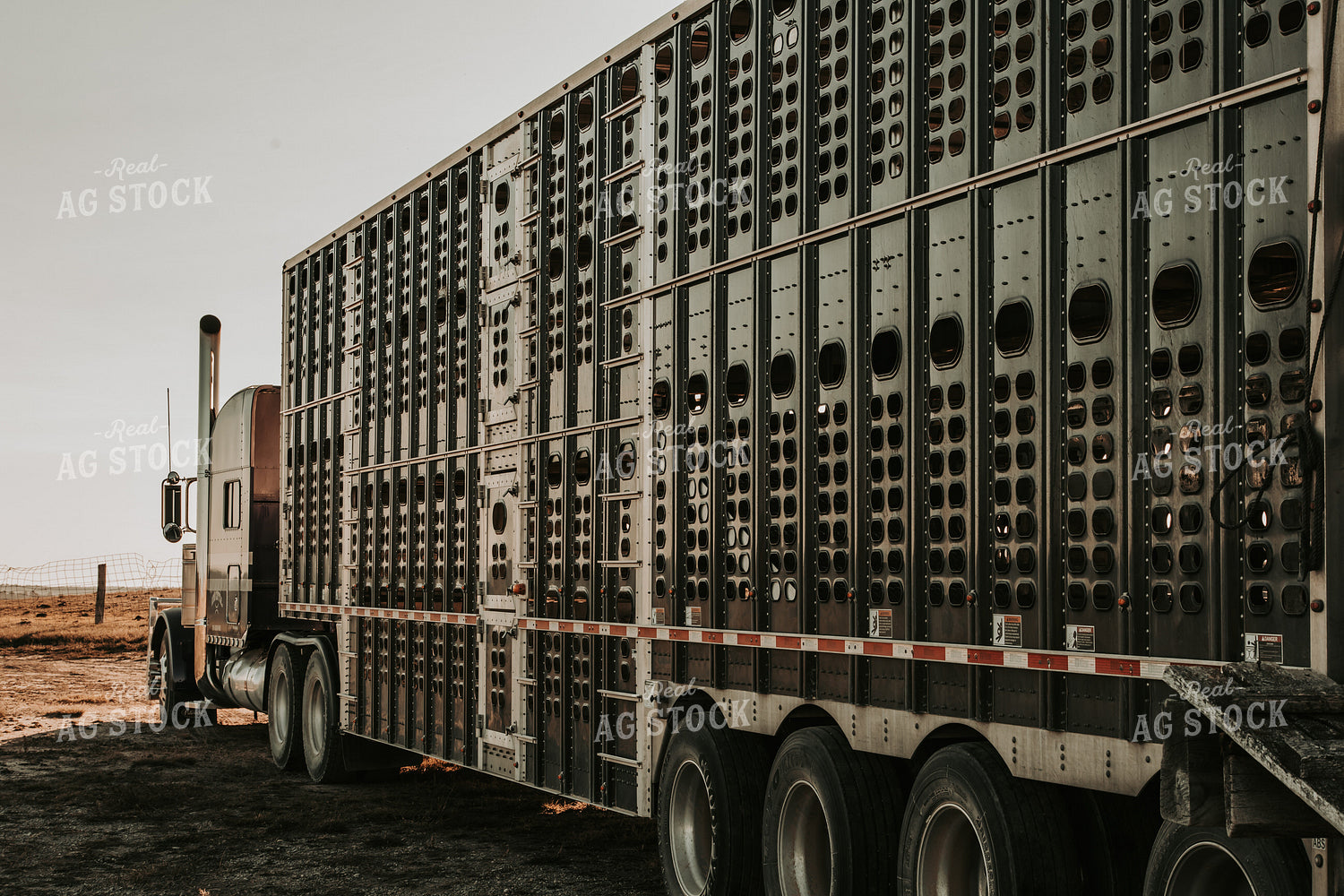Loading Livestock Trailer 298006