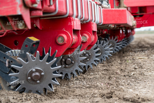 Planter 193026