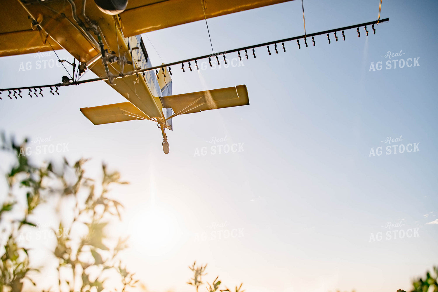 Crop Duster 218021