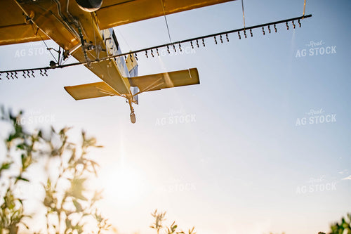 Crop Duster 218021