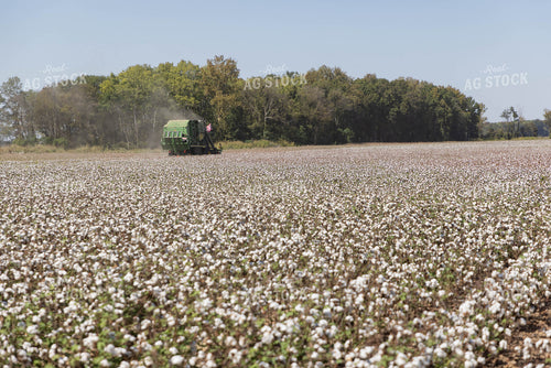 Baling Cotton 79416