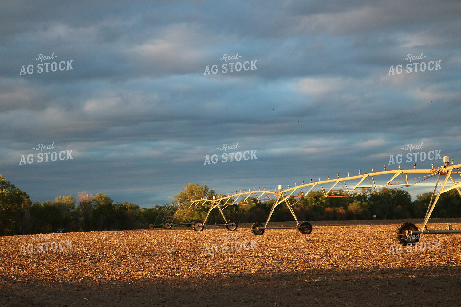 Irrigation System 82055