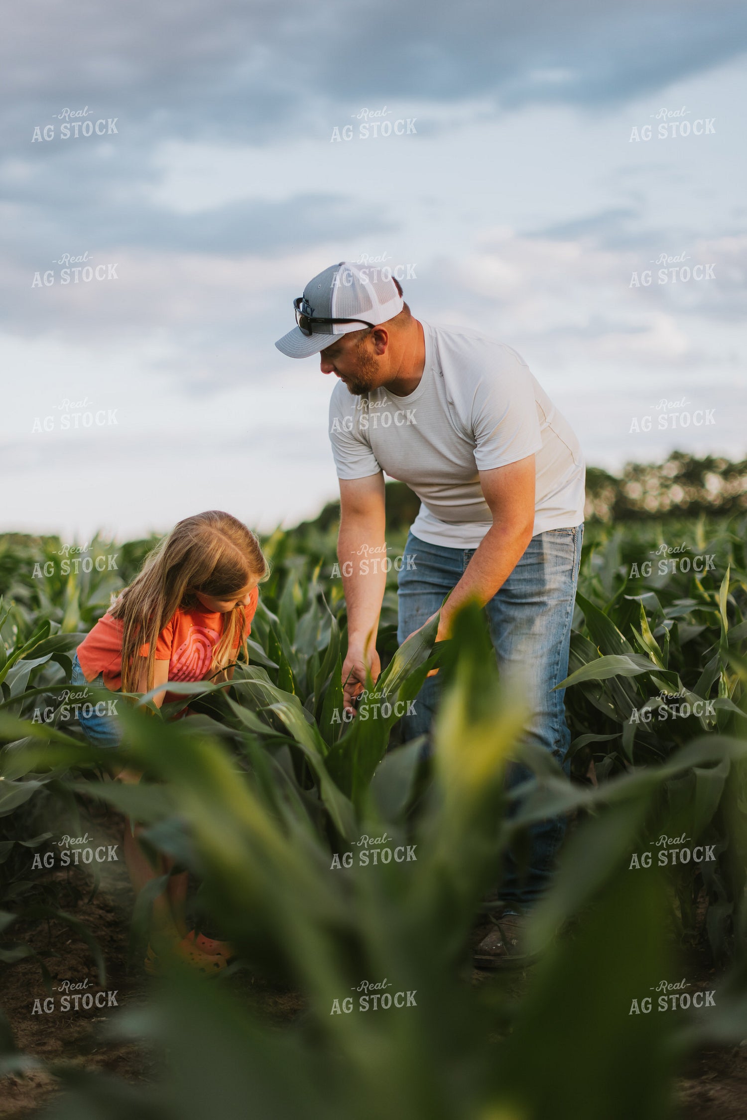 Farmer and Daughter Checking Corn 8805