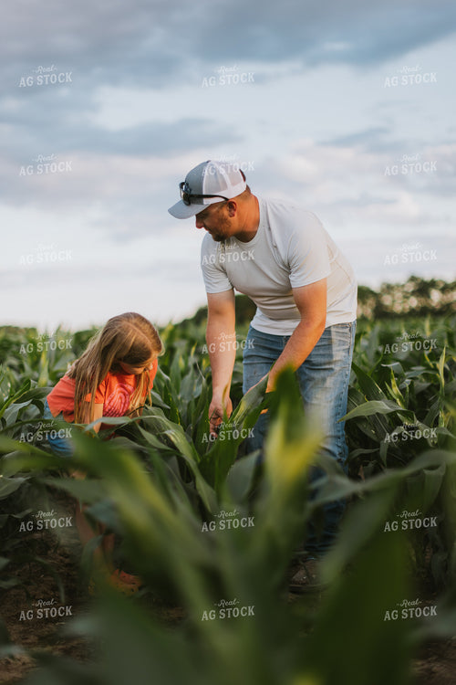 Farmer and Daughter Checking Corn 8805