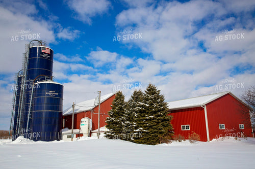 Dairy Farm with Red Barns and Silos 55032