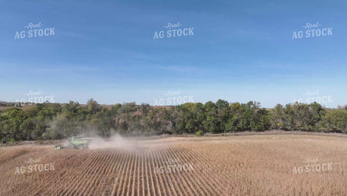 Soybean Harvest 236003