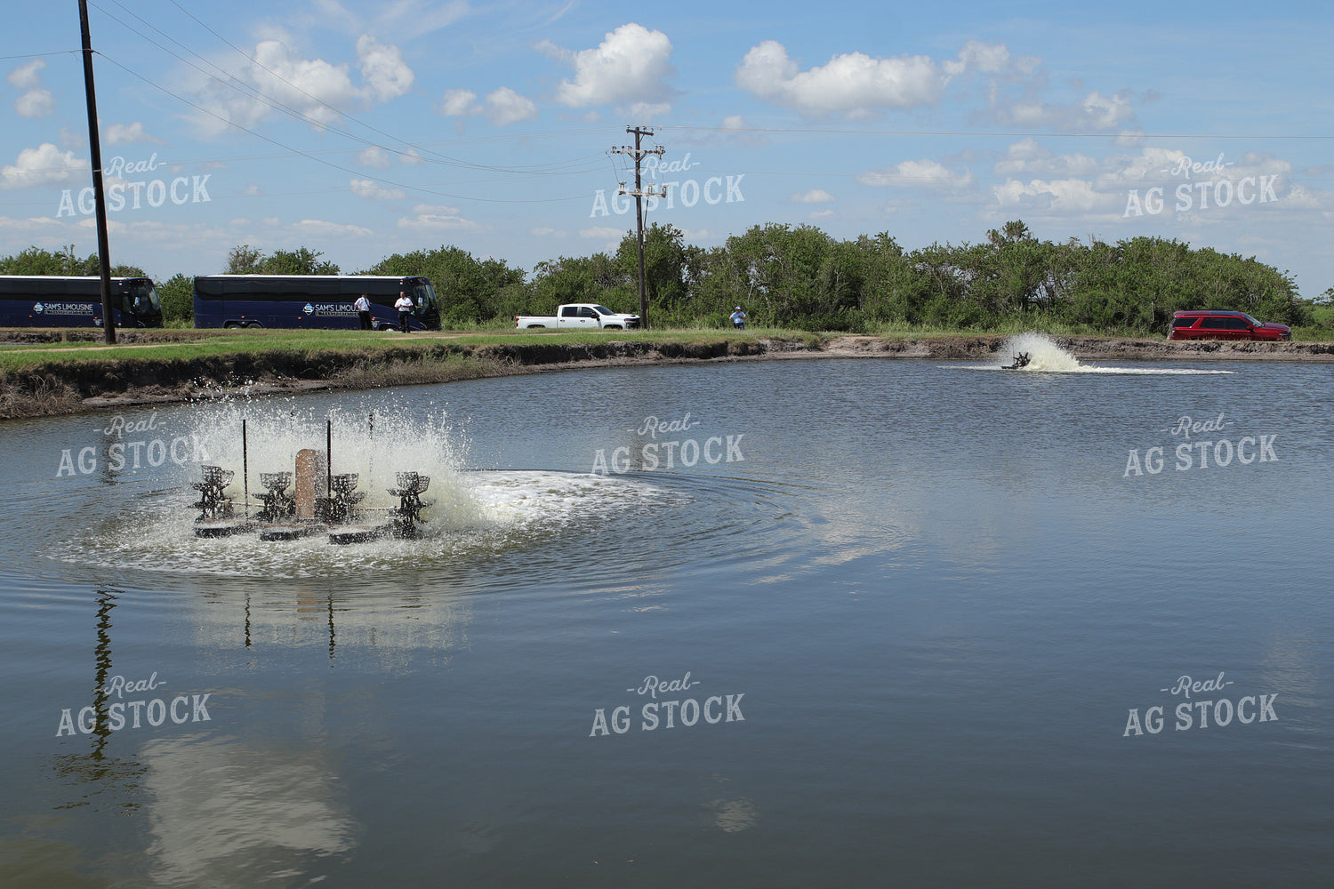 Visitors at Shrimp Ponds 102179
