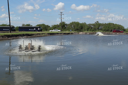 Visitors at Shrimp Ponds 102179