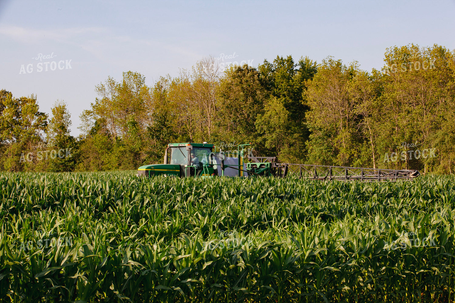Spraying Corn 132074