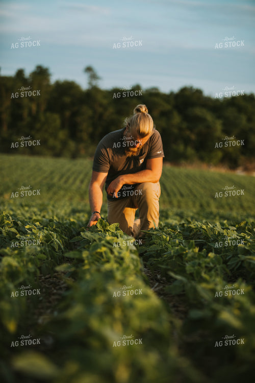 Farmer in Soybean Field 6010