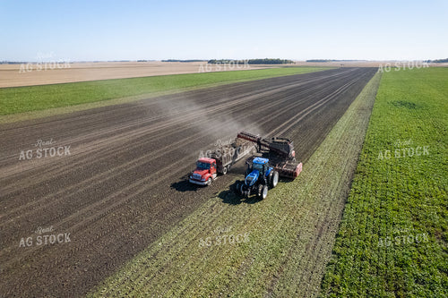 Sugar Beet Harvest 255046