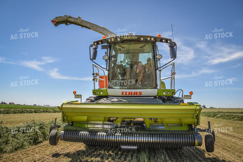 Forage Harvester Chopping Hay 56489