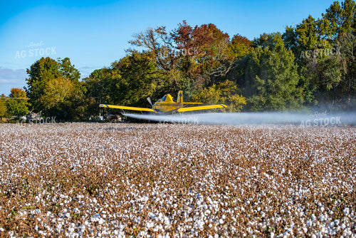 Crop Duster Spraying Cotton Field 136259