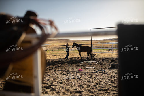 Rancher with Horse in Pen 71000