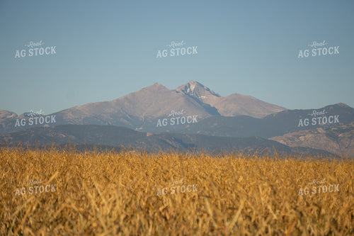 Scenic Mountain Landscape 148040