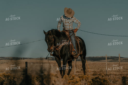 Cowboy on Horseback 58350