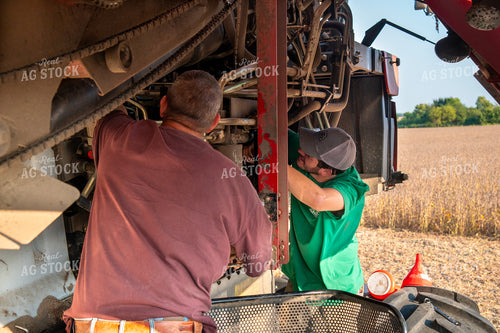Multigenerational Farm Familiy Repairing Combine in a Bean Field 25439