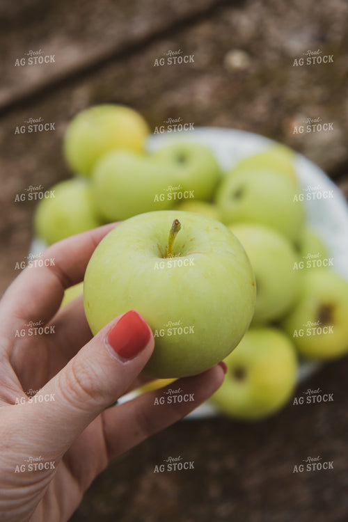Apples 67838