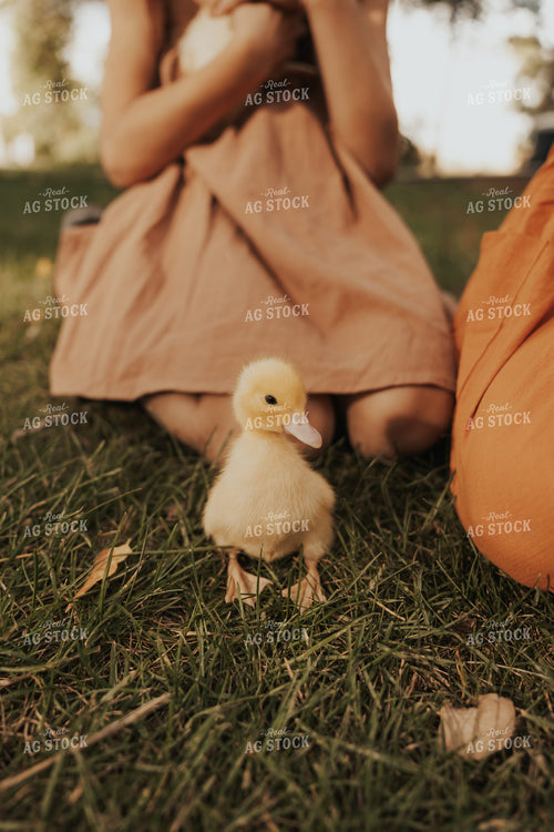 Duckling 61238
