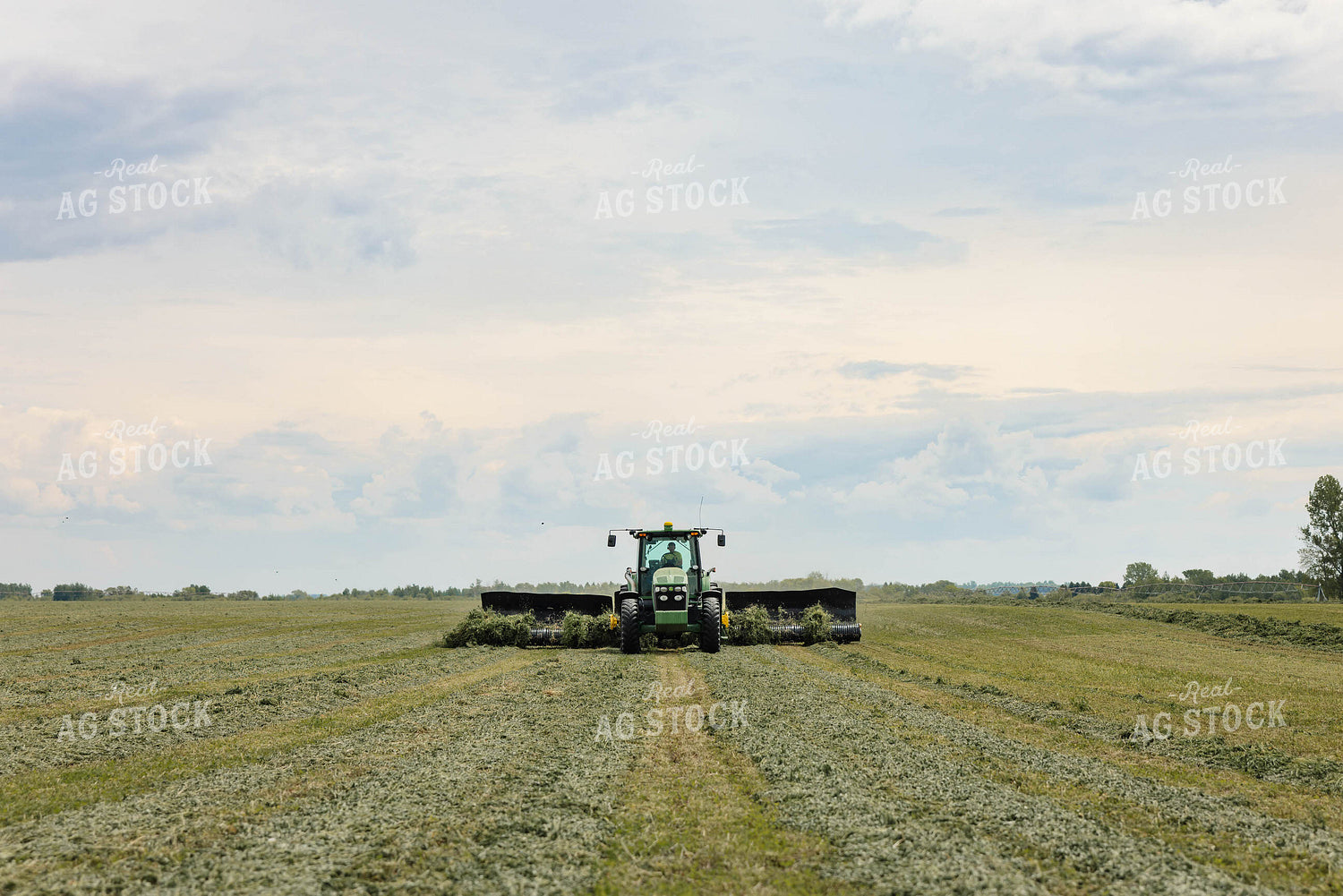 Merging Hay 152787