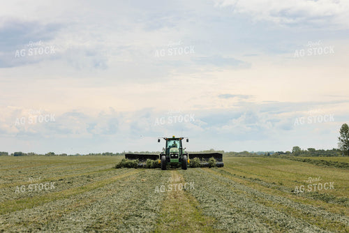 Merging Hay 152787