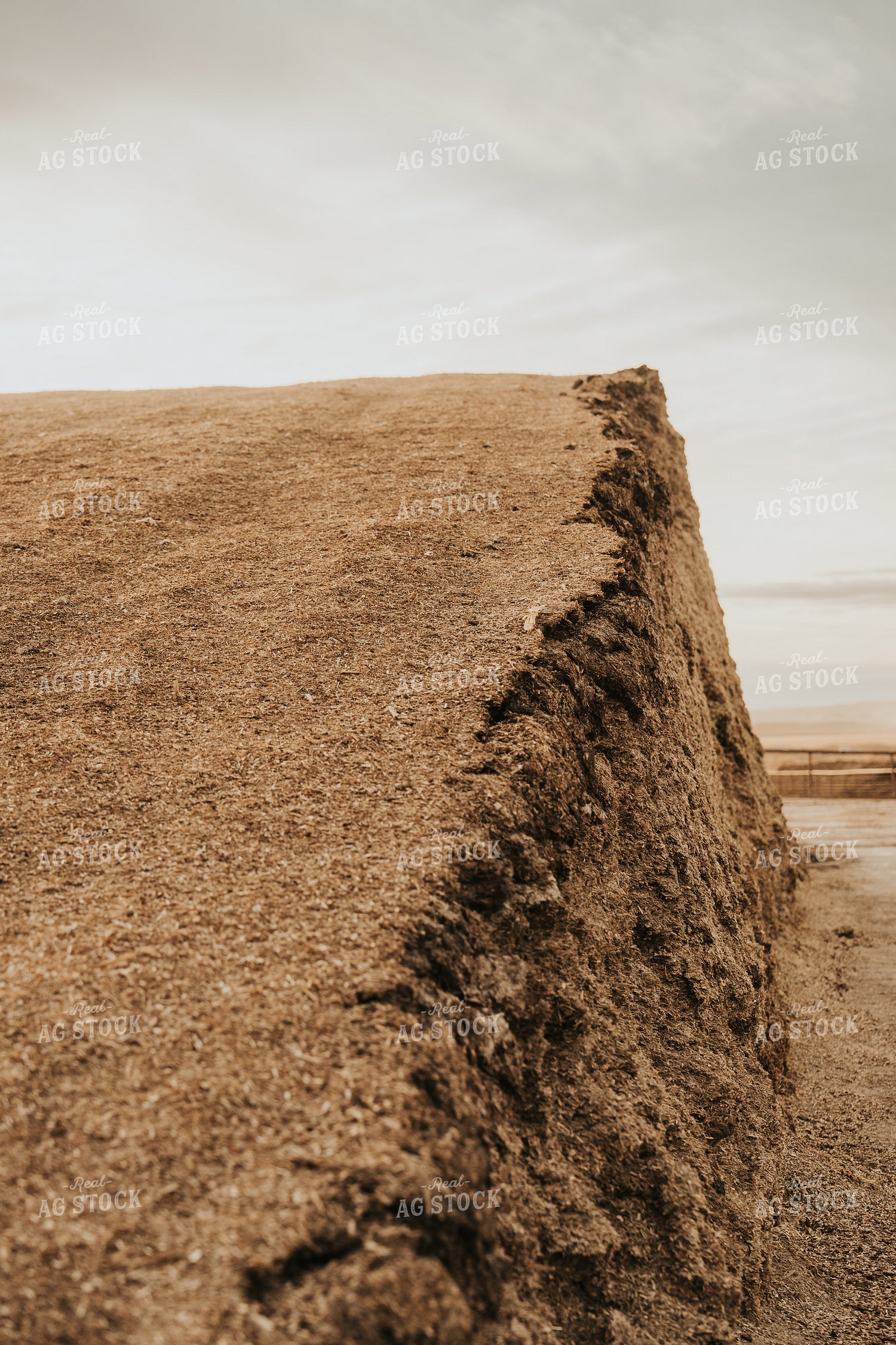 Uncovered Silage Pile 61270