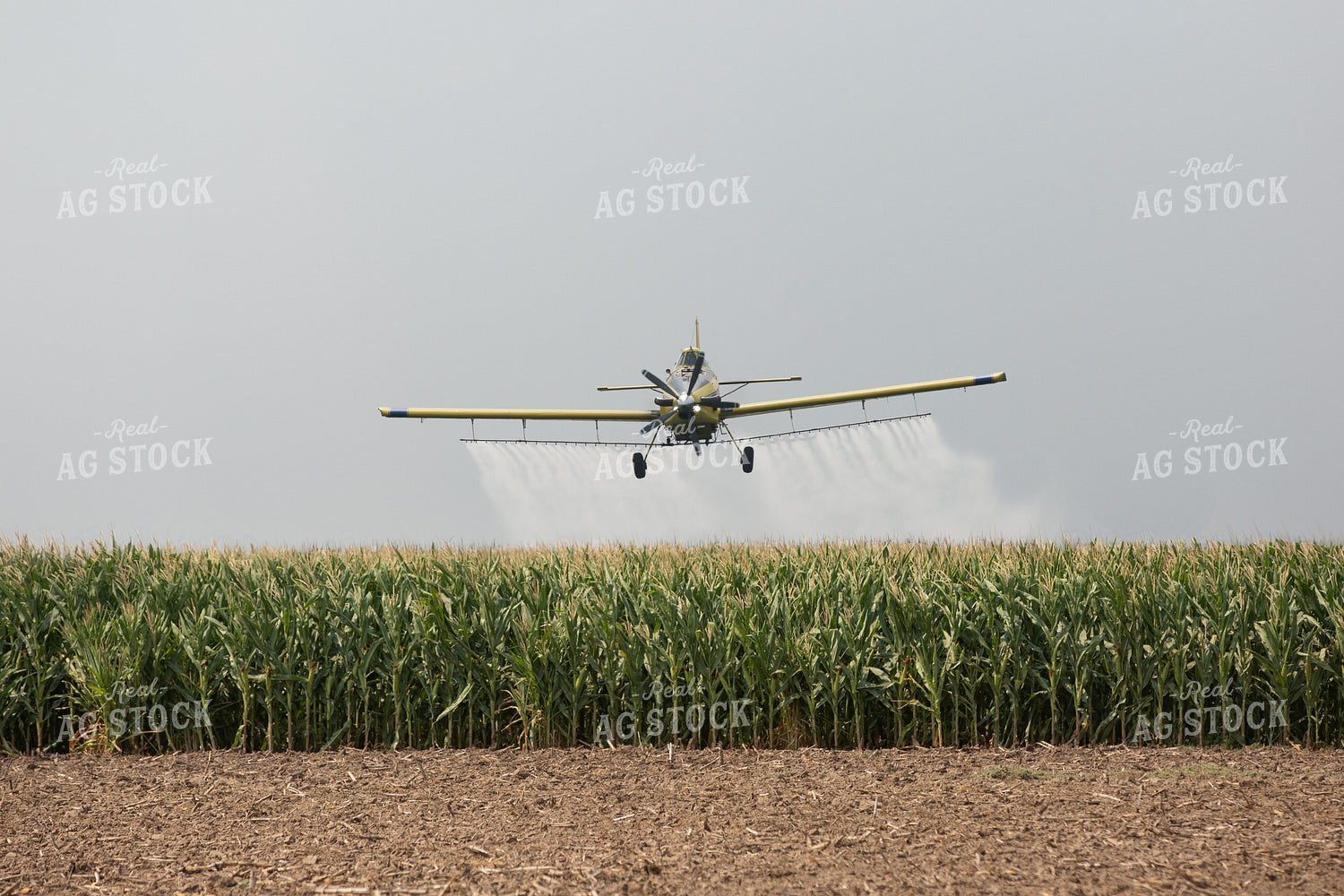 Crop Duster Spraying Corn Field 303036