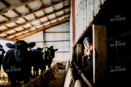 Female Farmer Feeding Cattle 169001