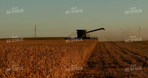 Combine Harvesting Soybeans 5393