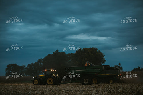 Corn Harvest 6709