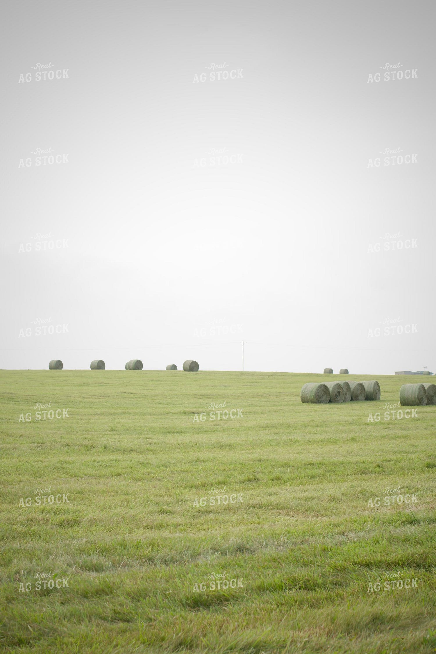 Round Hay Bales 251158
