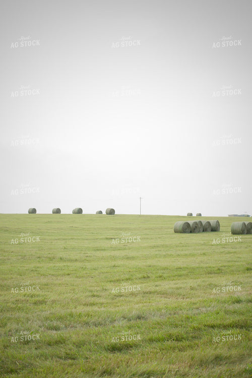 Round Hay Bales 251158