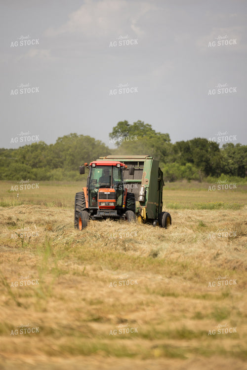 Baling Hay 143014
