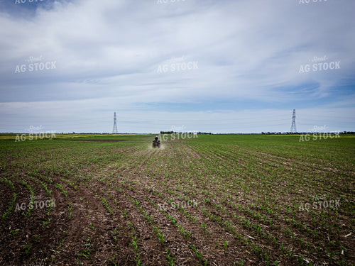 Female Agronomist Scouting Field 67731