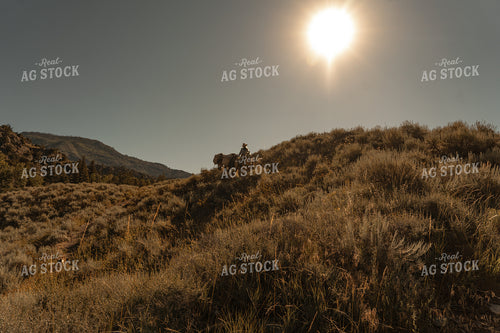 Rancher on Horseback 58305
