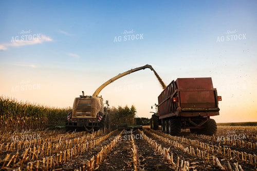 Silage Harvest 152298