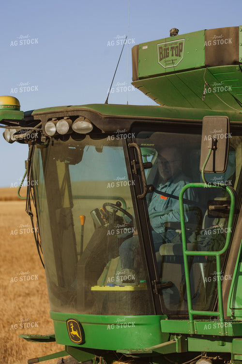 Wheat Harvest 187326