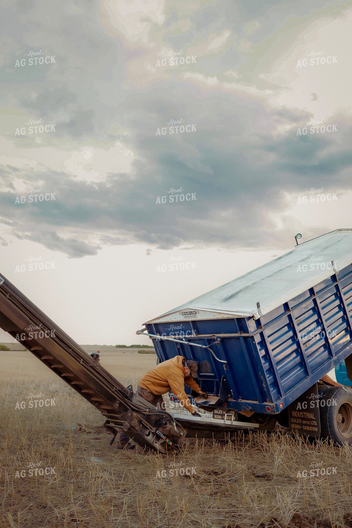 Farmer Unloading Grain 187339