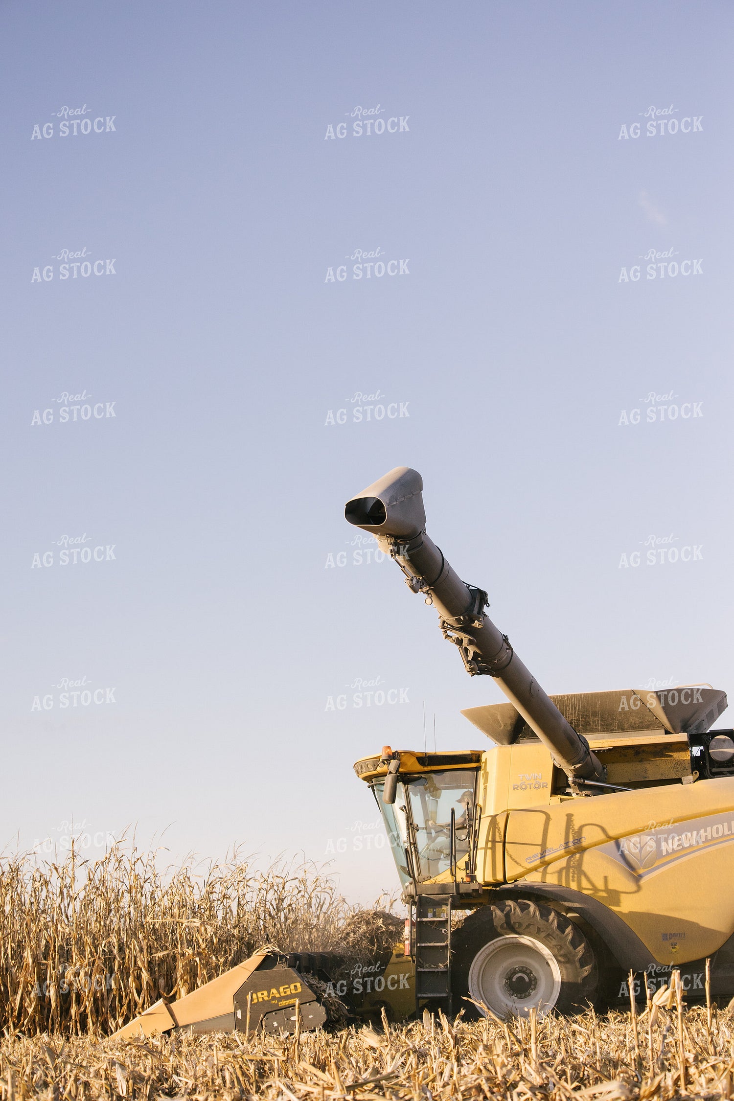 Nebraska Corn Harvest 70031