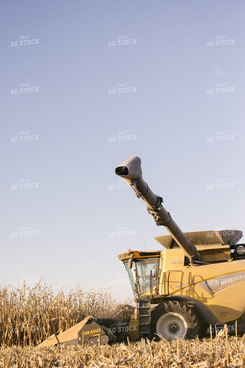 Nebraska Corn Harvest 70031