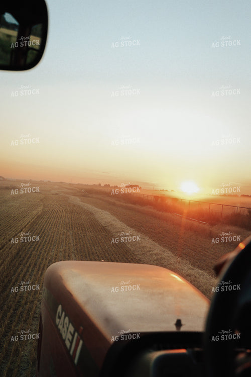 Wheat Harvest 83117
