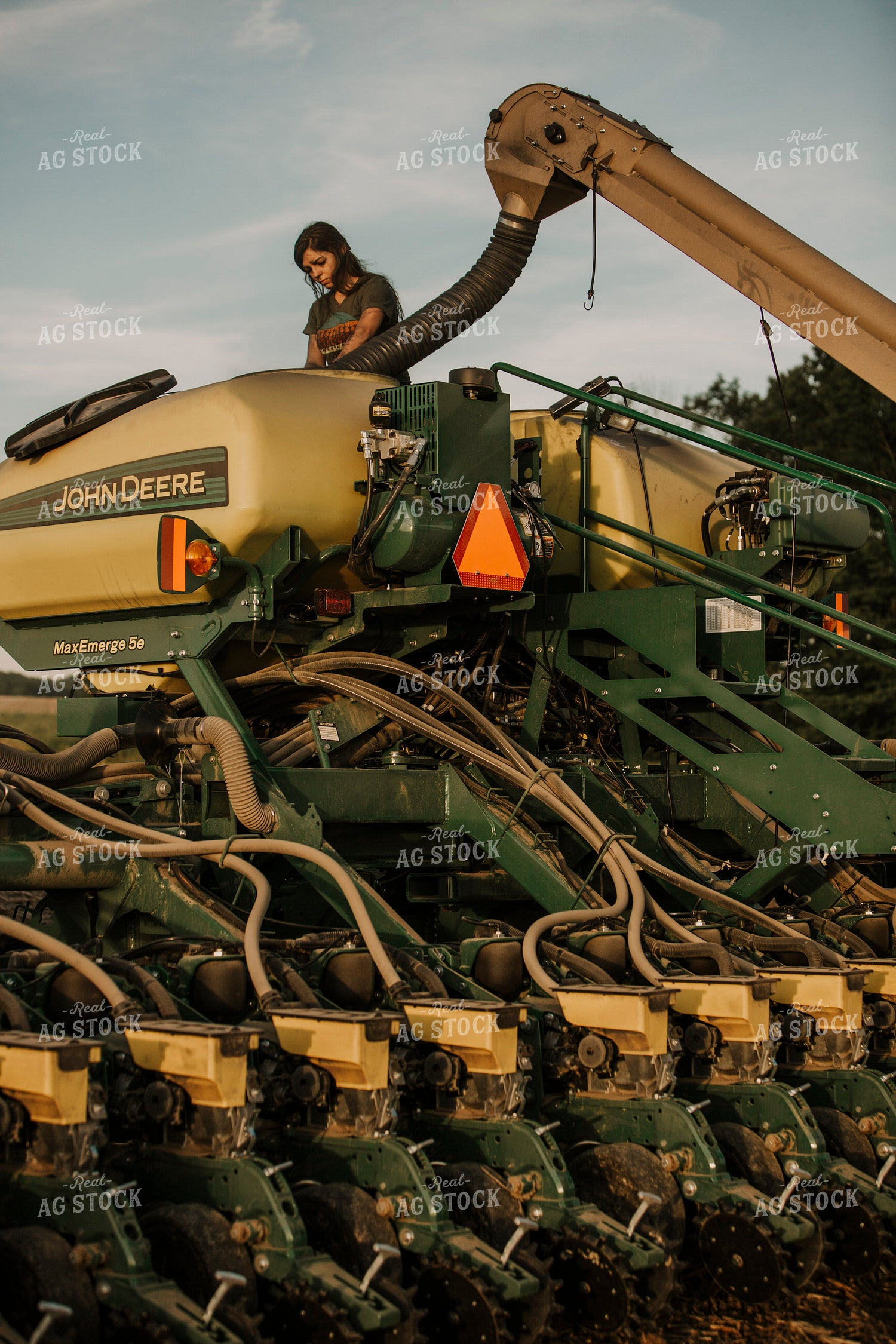 Planting 2817