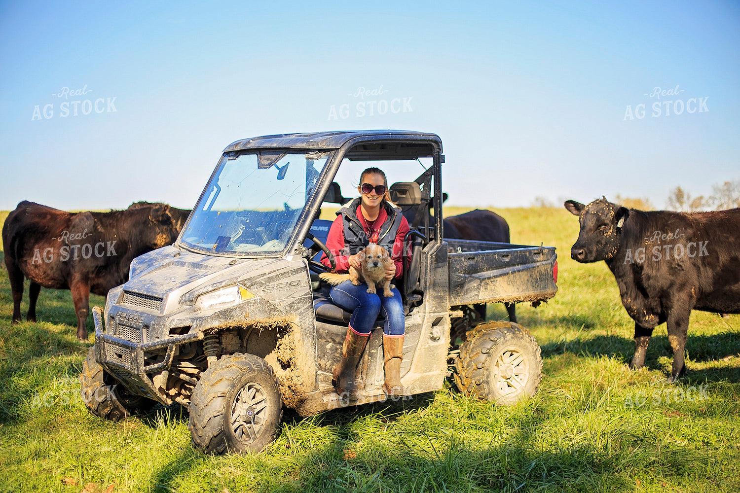 Farmer in Cattle Pasture 93057