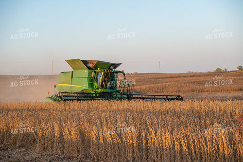 Soybean Harvest 236025