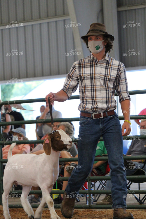 4H Goat Show with Masks 52041